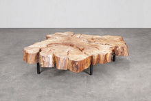 Load image into Gallery viewer, American Elm Crosscut Coffee Table

